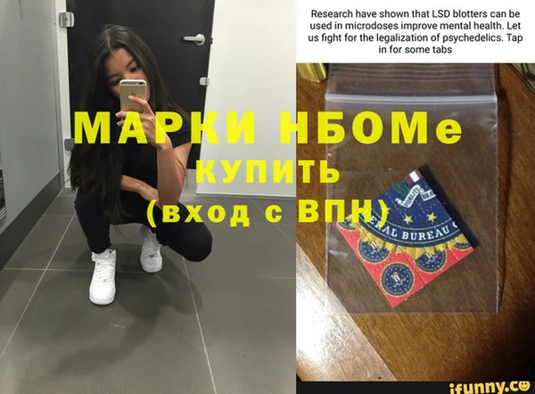 прущие грибы Лихославль