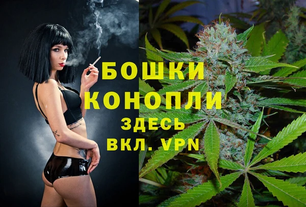 винт Магас