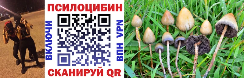 Галлюциногенные грибы Magic Shrooms  купить   Елизаветинская 